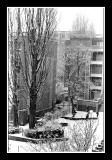 neige-hsc-0021.jpg