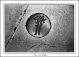 clout de rue-0023.jpg