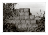 Botes de Paille.jpg
