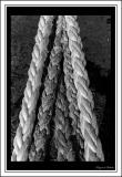 amarre-32.jpg